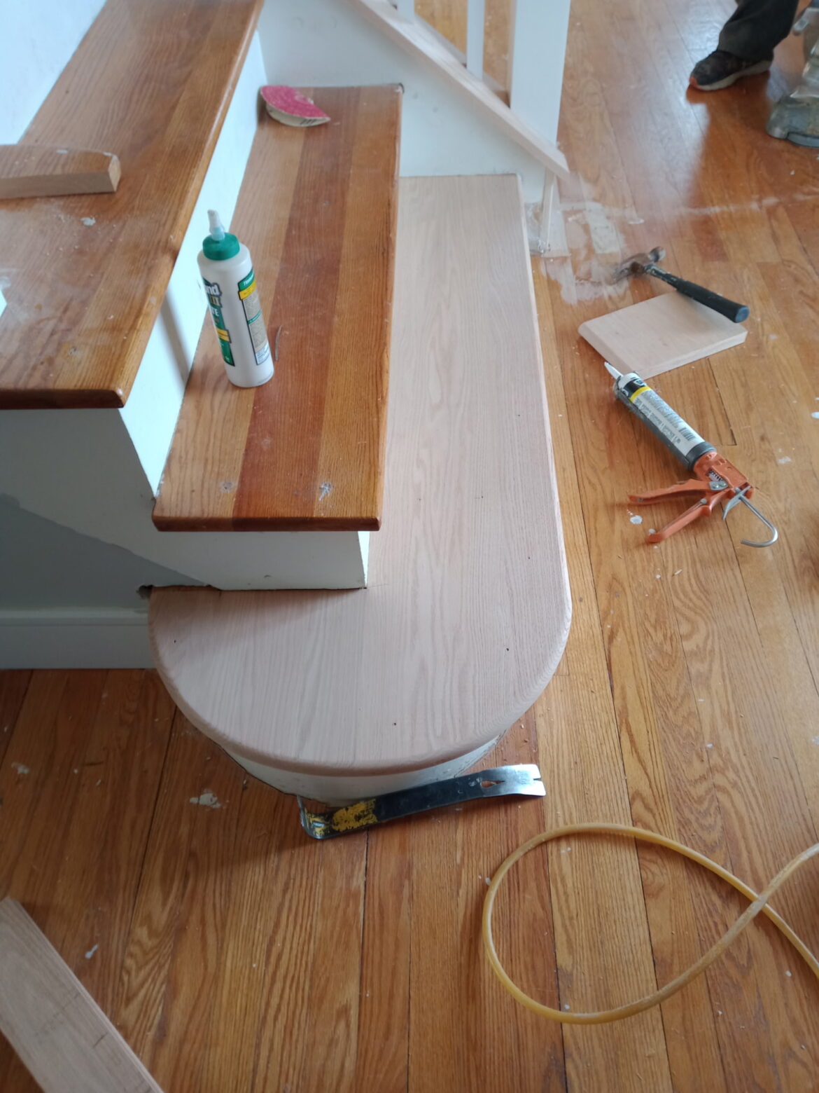 Say Goodbye to Pet Stains and Scratches on Your Hardwood Floors